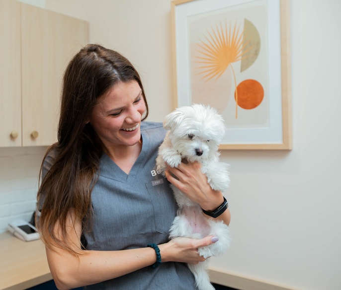 Animal Hospital & Vet Clinic in Alexandria, VA Bond Vet